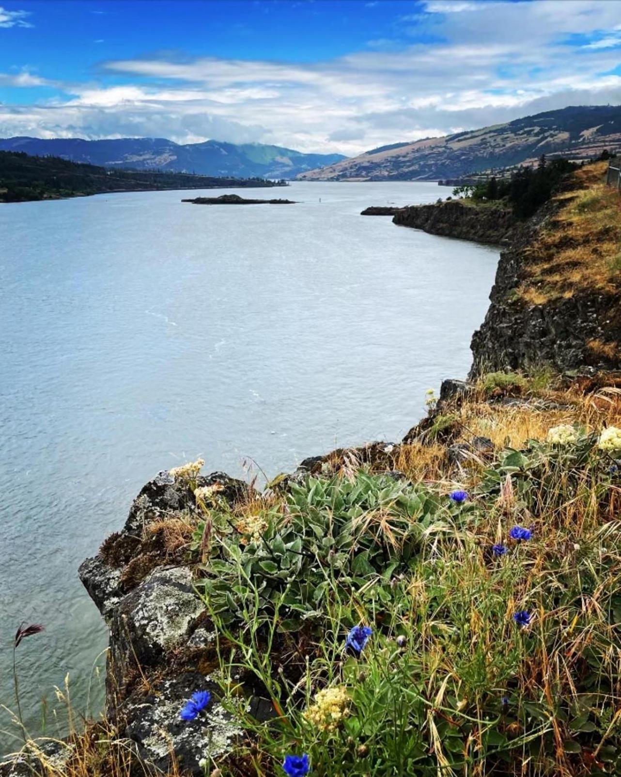Gorgeous Gateway To The Columbia River Gorge Washougal ภายนอก รูปภาพ
